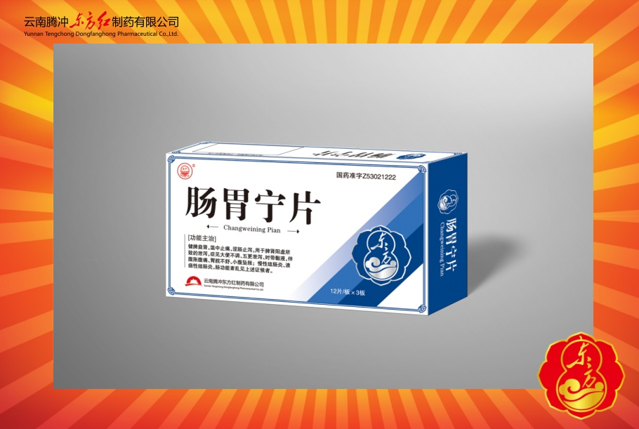肠胃宁片